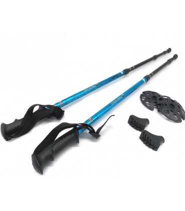 Coppia_bastoni_da_trekking_Ferrino_GTA_blu_con_puntali_da_sterrato1