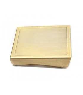 Fibbia_neutra_in_metallo_dorato_con_due_pioli_per_cinturone_