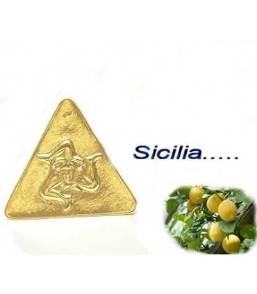 Trinacria_SICILIA_grande_a_spilla_triangolare_in_metallo_per_giacca