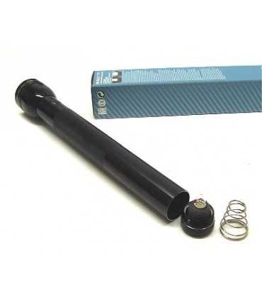 Torcia_Maglite_2_cell_D3