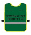 Personalized High Visibility Harness GREEN background with Blue Green Yellow Fluo border Black Personalized bodice