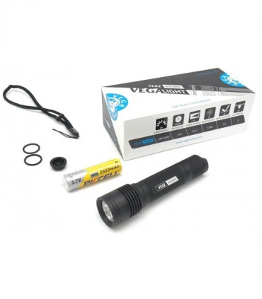Torcia Vega Light polaris VL02 con batteria