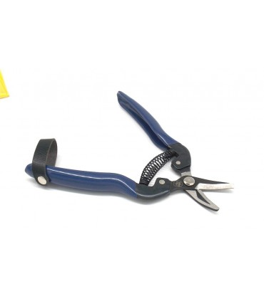 Forbici Due Buoi cogliagrumi