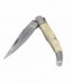 Coltello modello francese manico in osso chiaro lama 7,5 cm