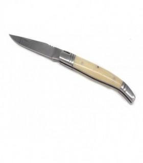 Coltello modello francese manico in osso chiaro