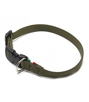 Collare nylon per cane 20X530 mm verde