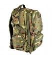 Military "DAY Backpack" with molle system