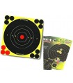Bersaglio reattivo 6P cm 21,5X21,5 Birchwood 34805