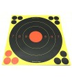 Birchwood reactive cardboard target cm 21.5 x 21.5