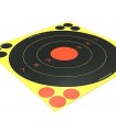 Birchwood reactive cardboard target cm 21.5 x 21.5