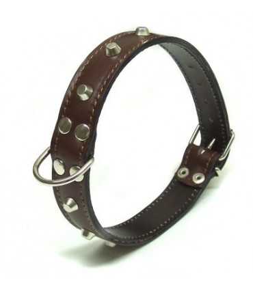 Wolfdog Leather Collar With Studs Length Cm 60