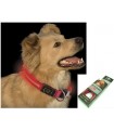 Collare luminoso Nite ize a led per cane