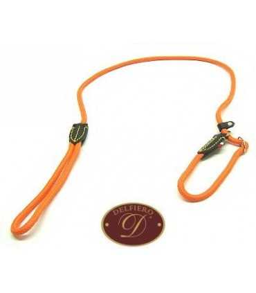 Leash Against Strangle With Orange Rope Collar Delfiero