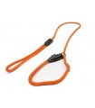 Leash Against Strangle With Orange Rope Collar Delfiero