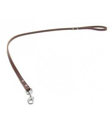 Dog Smooth Leather Leash 10 - 12 Or 15 Mm