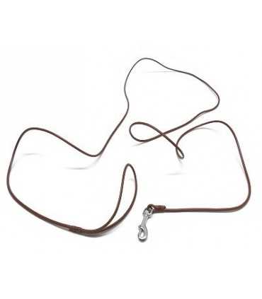 Training Leather Dog From Exposure