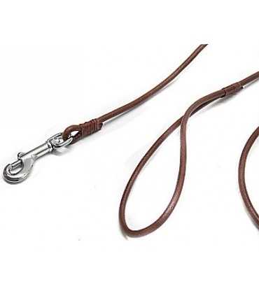 Guinzaglio in cuoio da esposizione per cane