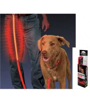 Guinzaglio luminoso Nite ize led per cane
